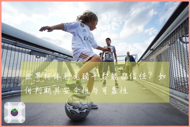 世界杯体彩竞猜平台能否信任？如何判断其安全性与可靠性