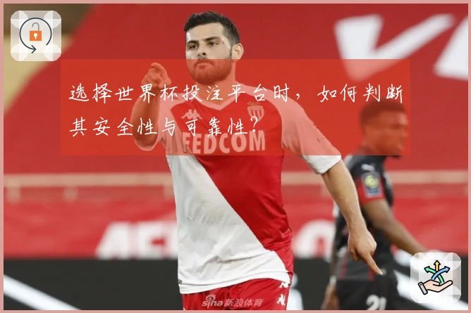 选择世界杯投注平台时，如何判断其安全性与可靠性？