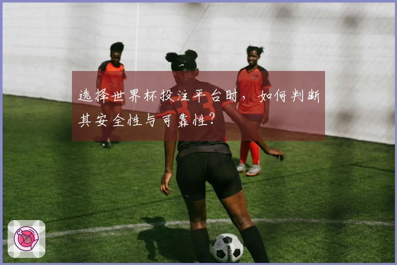 选择世界杯投注平台时，如何判断其安全性与可靠性？